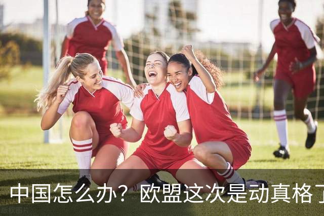 中国怎么办？欧盟这次是动真格了。2027 年 12 月 14 日起，要求补交三年的用工记录...