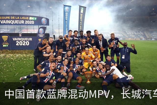 中国首款蓝牌混动MPV，长城汽车正式向丰田宣战