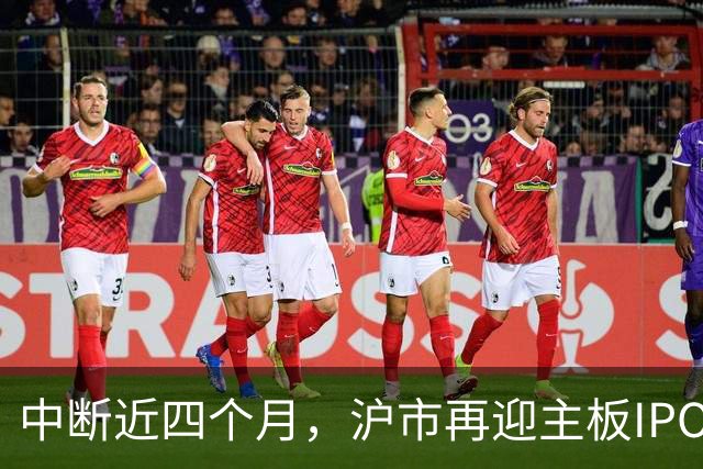 中断近四个月，沪市再迎主板IPO企业上会受审，业绩承压之下，“不差钱”的保伦股份能否闯关成功？