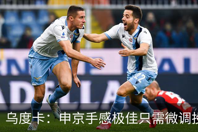 乌度卡：申京手感极佳只需微调投篮 罚球命中率69%对他来说太低了