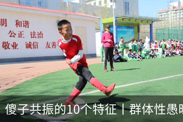 傻子共振的10个特征丨群体性愚昧