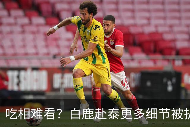吃相难看？白鹿赴泰更多细节被扒，多人被牵连，难怪坚决不取消活动