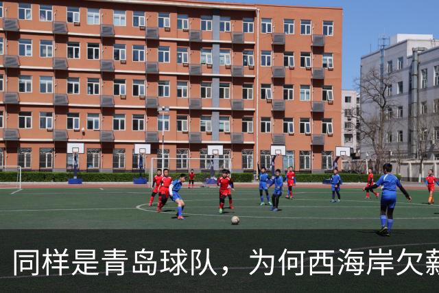 同样是青岛球队，为何西海岸欠薪还能排第五，而海牛只能降级，原来是理念不同