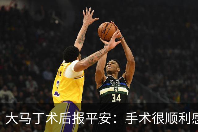 大马丁术后报平安：手术很顺利感谢大家，几周后我就会回来