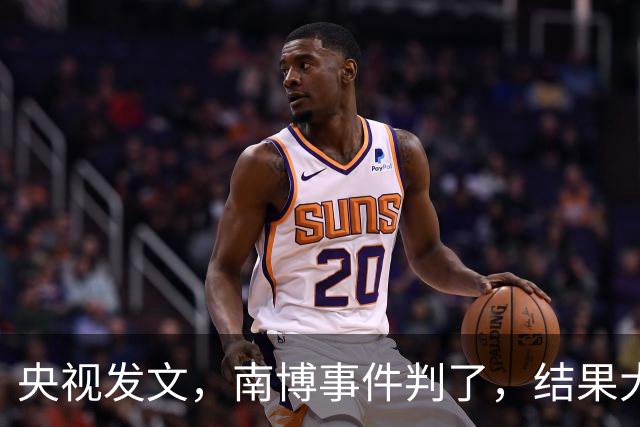央视发文，南博事件判了，结果大快人心，该慌的何止徐湖平一人