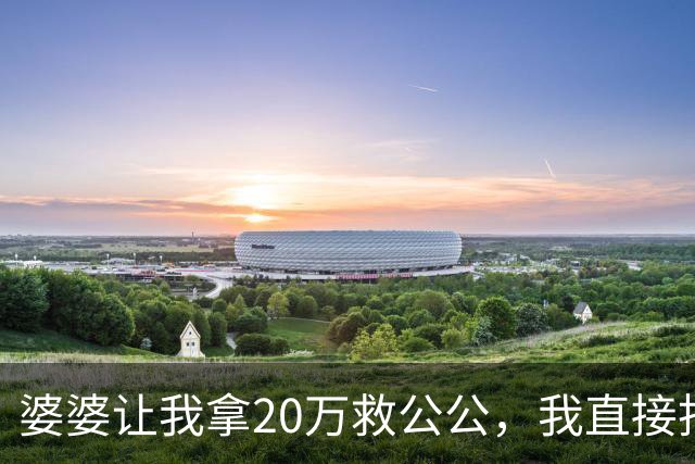 婆婆让我拿20万救公公，我直接拒绝，婆婆要跟我离婚，离就离