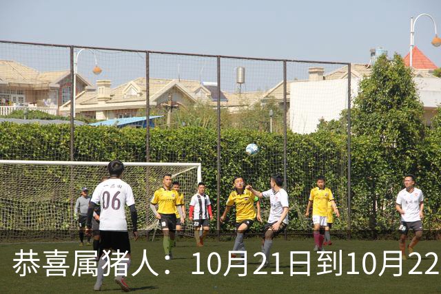 恭喜属猪人：10月21日到10月22日，你盼了很久的囍事终于来了