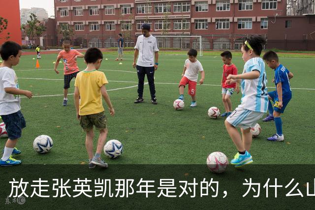 放走张英凯那年是对的，为什么山东泰山现在左边后卫还没人接班？