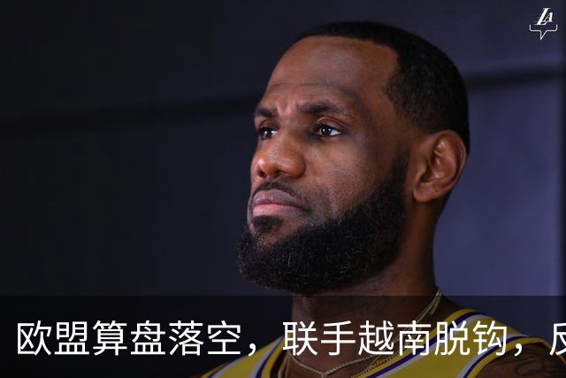 欧盟算盘落空，联手越南脱钩，反手被上了一课：什么叫中国力量