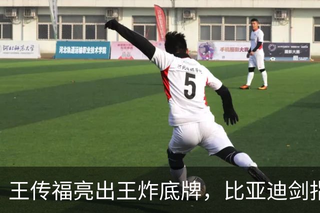 王传福亮出王炸底牌，比亚迪剑指700万辆