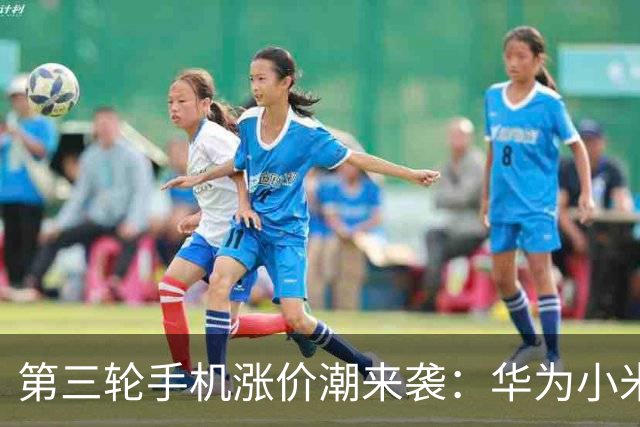 第三轮手机涨价潮来袭：华为小米已调价 友商马上跟进