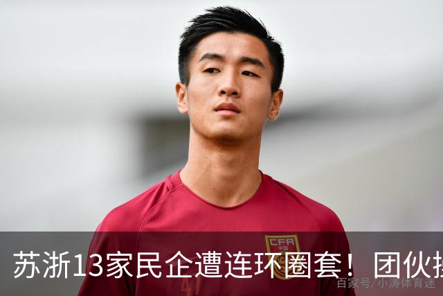 苏浙13家民企遭连环圈套！团伙操控高买低卖，近亿货款追讨无门！