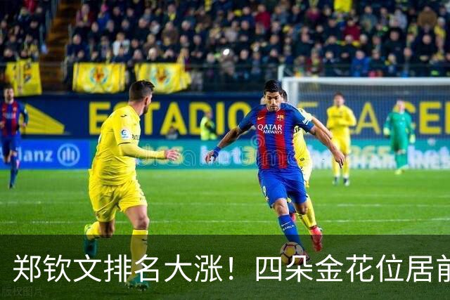 郑钦文排名大涨！四朵金花位居前一百