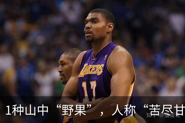 1种山中“野果”，人称“苦尽甘来”，入口苦后甘甜，营养高