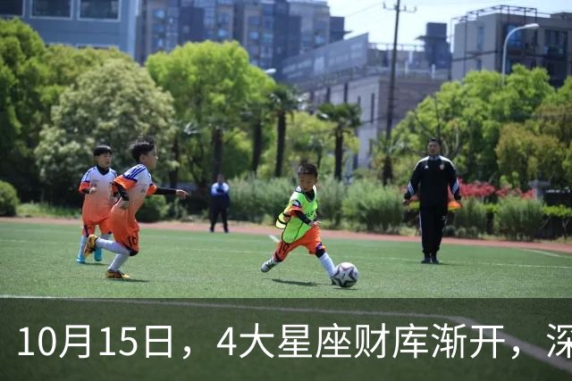 10月15日，4大星座财库渐开，深耕见回报，富贵稳步落袋！