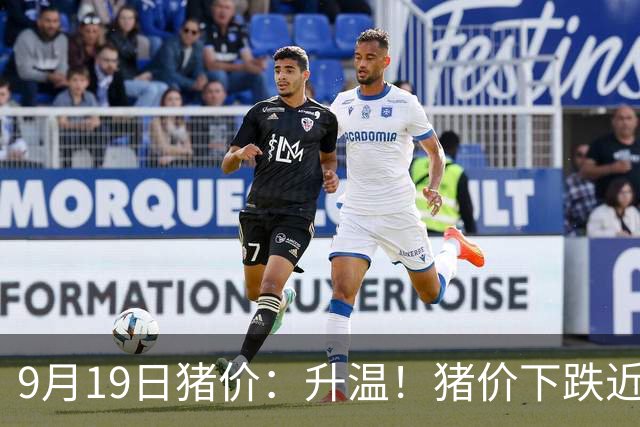 9月19日猪价：升温！猪价下跌近乎“熄火”，南北多地“雷霆”上涨！发生了啥？